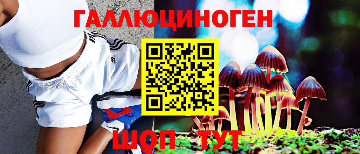 продажа наркотиков  Вход с VPN  Томск  Псилоцибиновые грибы Psilocybe 