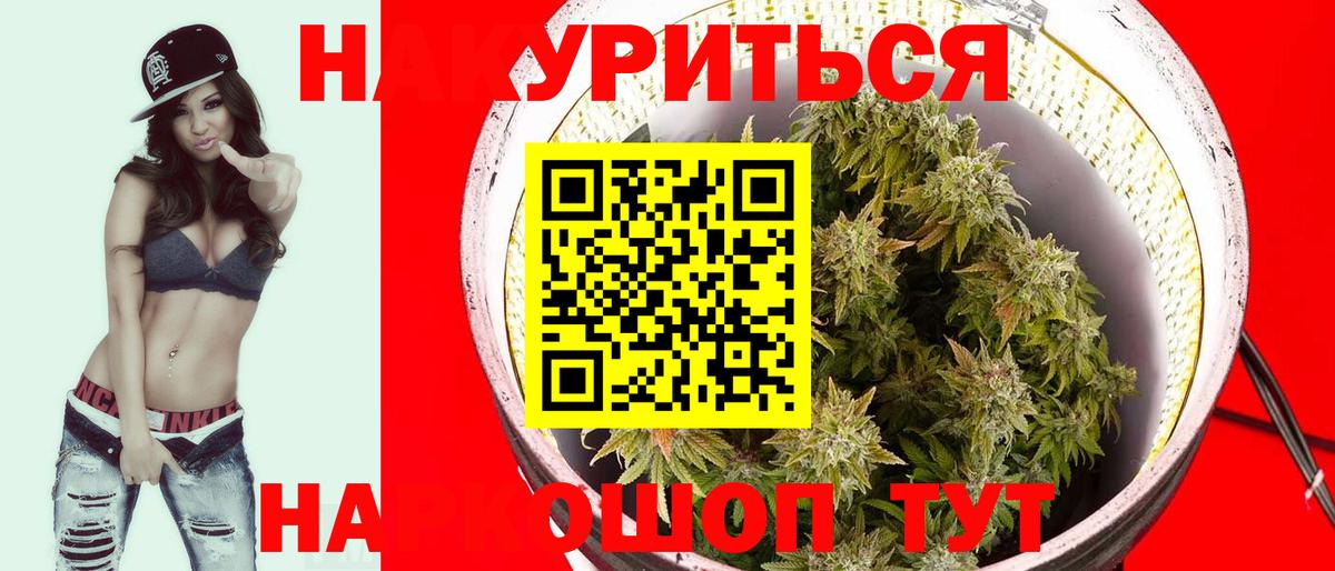Каннабис OG Kush Томск